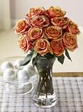 One Dozen Majestic Sunset Roses, Eco-Friendly - Long-stem, Creamy Orange Rose Bouquet