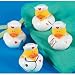 One Dozen Nurse Rubber Duckys