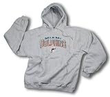 Miami Dolphins Men's NFL Hoodie, Hooded Sweatshirt with Embroidered Logo, Gray