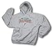 Miami Dolphins Men's NFL Hoodie, Hooded Sweatshirt with Embroidered Logo, Gray