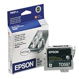 Inkjet Cartridge,F/ Stylus R2400,450 Page Yield,Lt Black