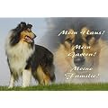 Metall - Warnschild Collie tricolour