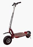 Patmont Motor Werks 216030022 Go-Ped ESR750H DC 24 Scooter - Black