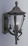 Designers Fountain Ambassador Outdoor Lighting - Rustic Silver