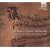 Petrucci: Harmonice Musices Odhecaton