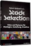 Calvin Hollywoods Stock Selection
