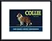Collie Lemon Label, 1920 by unknown 13.88X20.63 Framed with Black Metal Frame