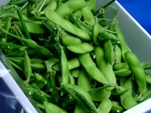 静岡産　ハウス育ちの　新鮮高級　生枝豆　800ｇ