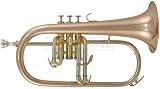 Produkt-Bild: ROY BENSON FH-302 G in B