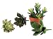 Club Pack of 12 Chic Botanical Decorative Succulent Southwestern Picks