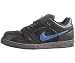 Nike 6.0 Zoom Oncore 2 New Sneaker