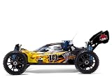 Hurricane XTR * 1/8 Scale RC * Nitro Buggy * NEW PRODUCT * By Redcat Racing
