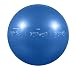 GoFit 55cm Professional Stability Ball