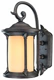 Thomas Lighting PL525423 Energy Star Rated Fleur De Lis Outdoor Wall Lantern, Colonial Bronze
