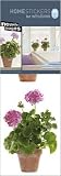 Produkt-Bild: Blumen - Rosa Geranien Aufkleber Poster-Sticker F&uuml;r Fenster (69 x 24cm)