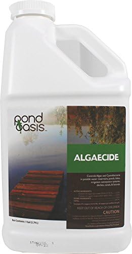 Pond Oasis-lonza Pond Oasis Algaecide, 1 gallon
