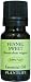 Fennel Sweet 100% Pure Essential Oil - 10 ml