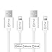 ATool® Lightning Cable, 2pcs 3Ft 10Ft, Nylon Braided USB Cord Charging Cable for iPhone SE, 6s, 6s Plus, 6, 6 Plus, 5S, 5C, 5, iPad Mini, Air, iPad 5, iPod , Copper core,IOS 9.0 (Silver)