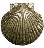 DOORBELL RINGER-SCALLOP