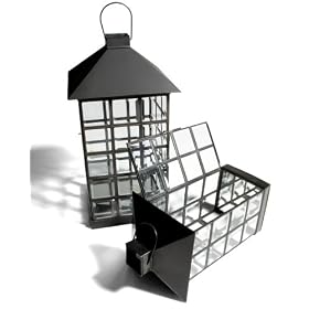 lantern
