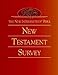 The New Interpreter's® Bible New Testament Survey
