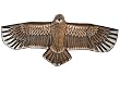 eagle kite