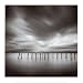 Twenty Sticks, Kohoku, Honshu, Japan Art Poster Print by Michael Kenna, 12x12