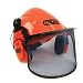 Oregon Forestry Helmet System
