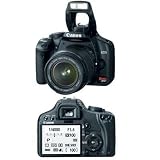 Canon Digital Rebel XSI 12MP Digital SLR Camera (Black) + Canon 18-55mm IS Lens + Canon 75-300mm III Lens + 2 Transcend 4GB Memory Cards + 3-Year Extended Digital SLR Warranty + Willoughby's Accessory Kit