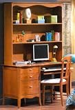 Le Nouvel Art Computer Desk and Hutch w/ Metal Hardware Antique White