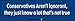Conservatives Aren't Ignorant - Funny Bumper Stickers (Medium 10x2.8 in.)