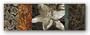 Evanescent I by Keith Mallett 36"x12" Art Print Poster