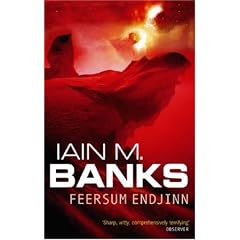 Feersum Endjinn