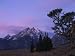 Cluster of Limber Pines Grow in Midst of Field in Front of Cathedral Group Photographic Poster Print by Jeff Foott, 40x30