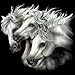 Women's Sweatshirt : Three White Horses - Grey Arabian Horse