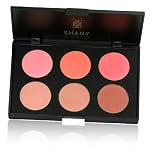 Shany Cosmetics Fuchsia 6 Color Blush Palette, 8 Ounce