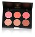 SHANY Cosmetics Fuchsia 6 Color Blush Palette, 8 Ounce
