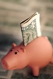 41o%2Bt1PqGdL. SL160  Family Budget      how to Set Up