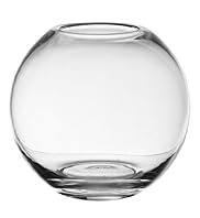 Small Fish Bowl
