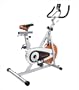 Sunny Indoor Cycling Bike
