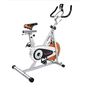 Sunny Indoor Cycling Bike