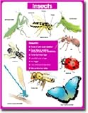 CHART INSECTS