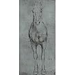 Leonardo da Vinci (Horse study) Art Poster Print - 11x17