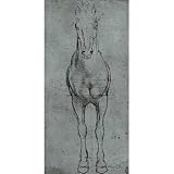 Leonardo da Vinci (Horse study) Art Poster Print - 11x17