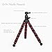Grifiti Nootle Flexpod Flexible Tripod for Small DSLRs, Mirrorless, Compact Cameras, iPad Mounts, iPhone and Smartphone Tripod Mounts