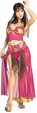 Adult Belly Dancer Costume