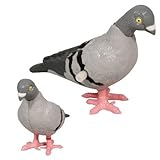 Rasende Brieftauben RACING PIGEONS 2er Set
