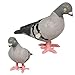 Wind-Up Racing Pigeons