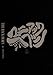 �ޥ˥��å��إ֥�Vol.0 [DVD]