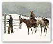 The Fall Of The Cowboy by Frederic Remington 20"x16" Art Print Poster